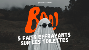 5 faits sur les toilettes